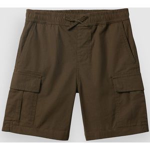 Quiksilver Taxer Cargo Korte Broek