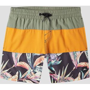 O'Neill Cali Block 13'' Kids Boardshorts