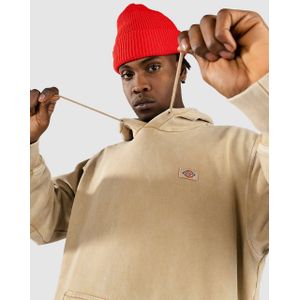 Dickies Newington Hoodie