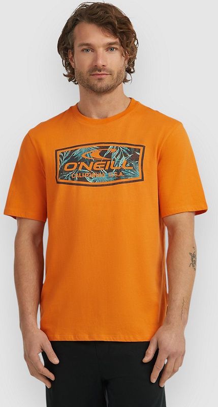 O'Neill - Graphic - T-shirt - Oranje