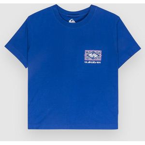 Quiksilver - Surf the Web - T-shirt - Lange Mouwen - 100% Katoen