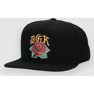 DGK Guadalupe Snapback Cap