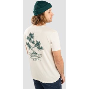 Iriedaily Bonsigh T-Shirt