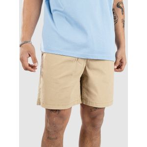 Quiksilver Taxer Korte Broek