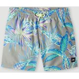 O'Neill Cali Print 13'' Boardshorts