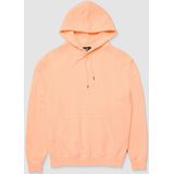 Volcom Single Stone Tw Hoodie