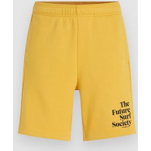 O'neill - Future Surf Society - Korte Sportbroek