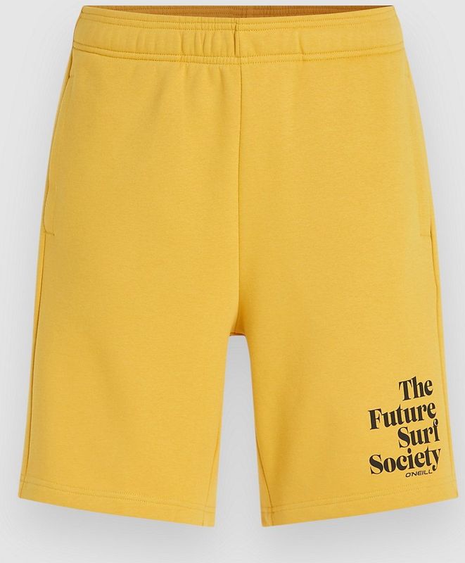 O'neill - Future Surf Society - Korte Sportbroek