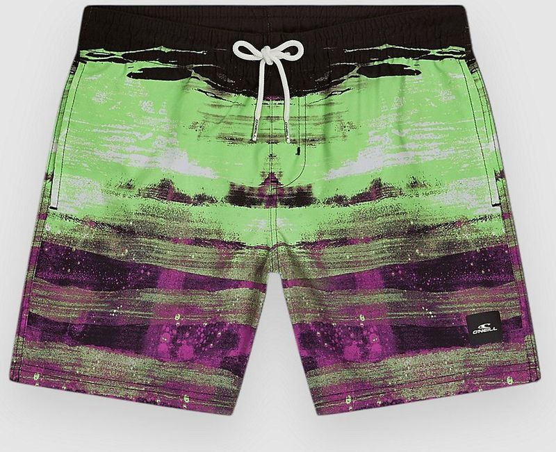 O'Neill Cali Gradient 14" Kids Boardshorts