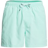 Quiksilver Everyday 15"" - Zwemshort voor heren, groen, XXL
