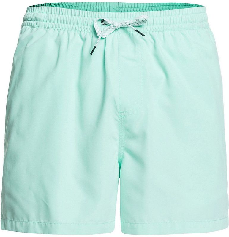 Quiksilver Everyday 15"" - Zwemshort voor heren, groen, XXL