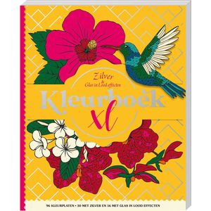 Kleurboek - Kleurboek XL - Zilver & Glas-in-lood effecten