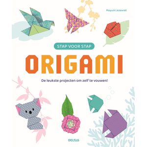 Boek - Stap Voor Stap Origami