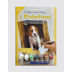 Schilderen op nummer - beagle puppy