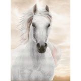 Diamond Dotz - 65x48 cm - paard