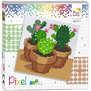 Pixelset Cactussen