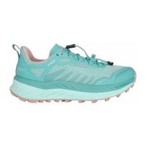 Trailrunning Schoen Lowa Women Fortux GTX Arctic Rose-Schoenmaat 41