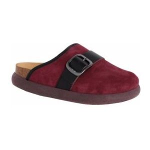 Sandaal Scholl Women Ivy Big Buckle Aubergine-Schoenmaat 41