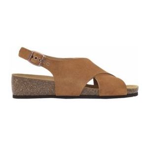 Sandaal Scholl Women Amelie Suede Brown-Schoenmaat 40