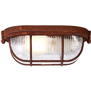 Brilliant Industriële plafondlamp - functionele wandlamp en plafondlamp dimbaar - 1x E27 max. 40 W - met versleten look van metaal/glas, roest - 9 x 21 cm, 94458Z60