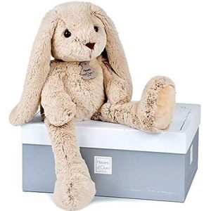 Histoire d'Ours - Groot pluche konijn – knuffelvriendjes – geschenkdoos – beige – 50 cm – zacht en schattig – cadeau-idee voor geboorte en verjaardag meisjes en jongens – HO2432