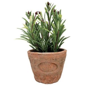 Esschert Design Rozemarijn plastic plant in pot, 8,6 cm x 17 cm