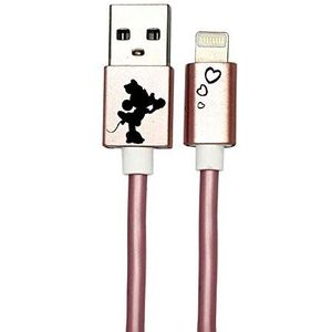 Disney mini-USB-kabel voor iPhone