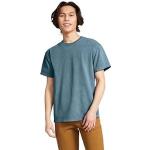 Comfort Colors t-shirt volwassenen heren, IJsblauw
