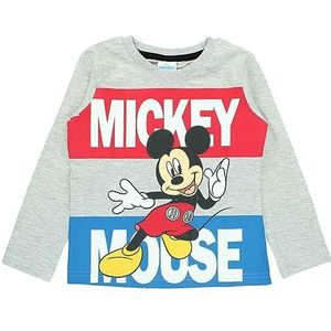 Disney Dis Mfb 52 02 9050 S2 T-shirt voor jongens, grijs.