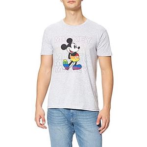 Disney T-shirt heren, Grijs Melange