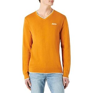 Jack & Jones Jortons Knit Trui met V-hals voor heren, Golden Oak/Details: Cloud Dancer