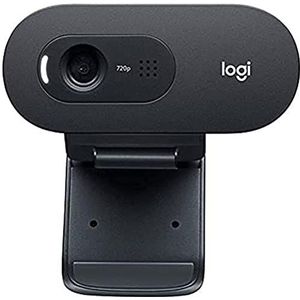 Logitech C505e Professionele HD-webcam, USB, HD, 720p, voor desktop-pc en laptop, met een lange reikwijdte, compatibel met PC, Mac of Chromebook - grijs