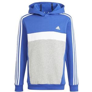 adidas Tiberio Fleece 3 Stripes Colorblock Uniseks Hoodie