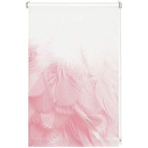 GARDINIA Rolgordijn zonder boren Klemmfix ondoorzichtig inkijkbescherming niet-verblindend met alle bevestigingsonderdelen Digiprint veerboa wit decor 100x150cm