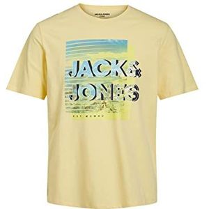 JACK & JONES Jcobooster Tee S Crew Neck Apr 23 T-shirt voor heren, Lichtgeel