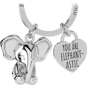 LANOLU Sleutelhanger olifant snuitkever geluksbrenger partner en beste vriendin sleutelhanger cadeau voor vriend metaal zilver, Metaal