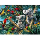 Ravensburger - Puzzel voor volwassenen - puzzel 500 p - Koala's in de boom - 14826