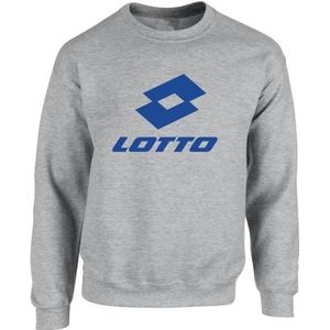 AMERICAN COLLEGE USA Lotto Sweatshirt met capuchon, kleur sportkleding, jongens, grijs, 12 jaar, grijs., 12 jaar