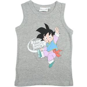 Disney Dragonball Z T-shirt voor jongens, T-shirt voor jongens, Grau