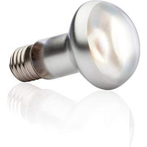 Exo Terra Intense Basking Spot daglamp, 50 W