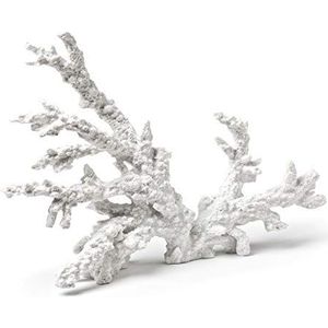 Abbott Collection Sculptuur van wit koraaltak (groot)