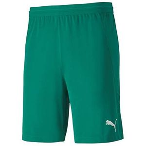 PUMA Teamfinal 21 herenshort, Pepper Groen