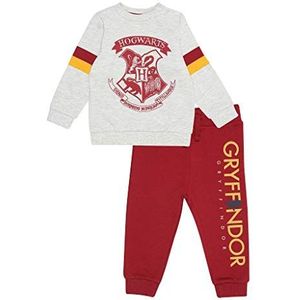 Harry Potter sweatshirt en joggingset met Hogwarts wapenschild voor jongens, officieel product, cadeau-idee voor jongens, peuters, heksenwereld, grijze bruyère