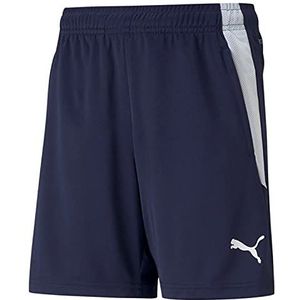 PUMA Teamliga Trainingsshorts Jr – casual shorts – hybride shorts – uniseks kinderen, Navy / Wit