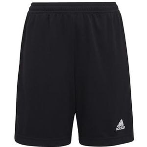 adidas Ent22 Tr Shoy Shorts Uniseks kinderen