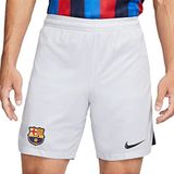 Nike CFC Df herenshort