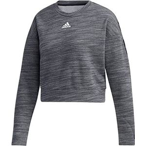 adidas W E TPE Swt sweatshirt voor dames, verpakking van 1 stuks, wit (brgro/wit)