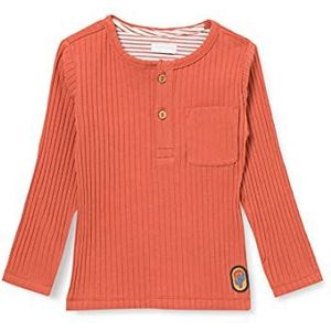 Noppies Baby Jongens T-shirt B Ls Toronto, Autumn Glaze - P692, 56, Autumn Glaze - P692