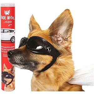 Ride With - ""Cool Chien"" raamsticker, kunststof, bruin, 30,5 x 30 x 0,1 cm – een Thumbs UP! Brand – 1001725