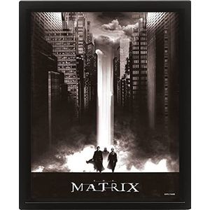 Pyramid International The Matrix 3D-poster, lenticulaire wanddecoratie, in een lijst (waterval), 25 x 20 x 1,3 cm, officieel product
